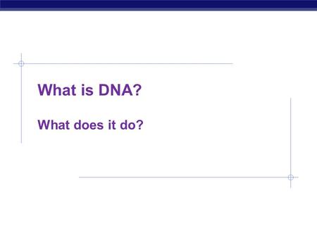 What is DNA? What does it do? DNA The Genetic Material Chapter 12: DNA.