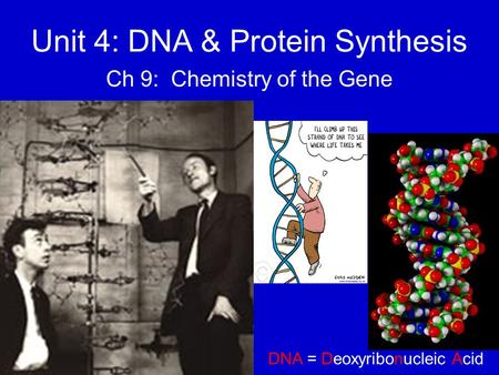 Unit 4: DNA & Protein Synthesis Ch 9: Chemistry of the Gene DNA = Deoxyribonucleic Acid.