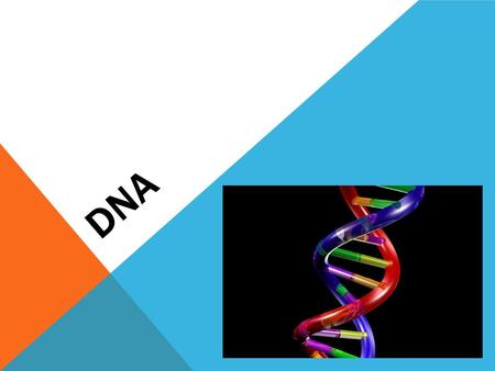 DNA. An organism’s genetic material Located on chromosomes Genes are segments on DNA Contains information needed for an organism to grow, maintain itself,