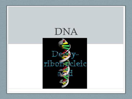 DNA By: Ms. K. Massey. Even though DNA is microscopic and too small to see with the naked eye, its importance is un- measurable. It forms the backbone.