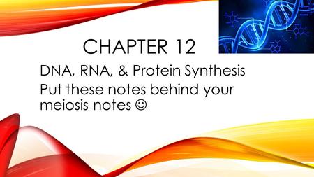 CHAPTER 12 DNA, RNA, & Protein Synthesis Put these notes behind your meiosis notes.