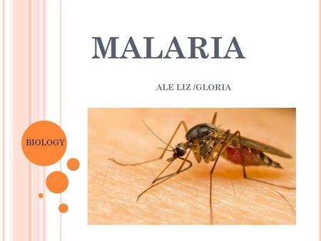 MALARIA ALE LIZ /GLORIA BIOLOGY. P ATHOGEN Malaria is caused by single-celled organisms, called protozoans, of the genus Plasmodium. Different forms of.