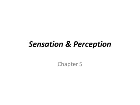 Sensation & Perception Chapter 5. Sensation & Perception The “five” senses: – sight, hearing taste, smell, touch, vestibular & kinesthetic Sensory organs.