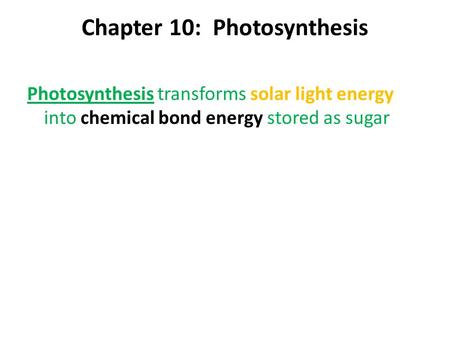 Chapter 10: Photosynthesis Photosynthesis transforms solar light energy into chemical bond energy stored as sugar.