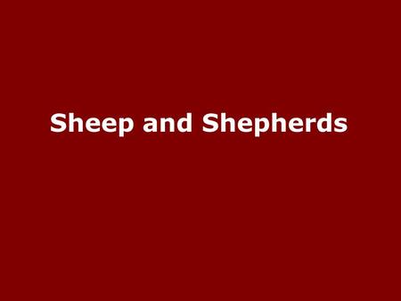 Sheep and Shepherds. The Sheep and Their Shepherd John 10:1-30 Luke 15:1-7.