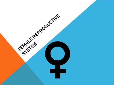 FEMALE REPRODUCTIVE SYSTEM.  What the female reproductive system does… The female reproductive system enables a woman to:  produce eggs (ova)  have.