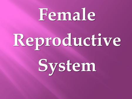 FemaleReproductiveSystem. The female reproductive system has several functions: 1. It produces female sex hormones and stores female reproductive cells.