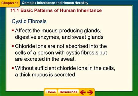Complex Inheritance and Human Heredity Cystic Fibrosis  Affects the mucus-producing glands, digestive enzymes, and sweat glands  Chloride ions are not.