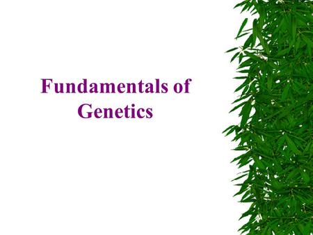 Fundamentals of Genetics. Gregor Mendel  Gregor Mendel was a monk in mid 1800’s who discovered how genes were passed on.  He used peas to determine.
