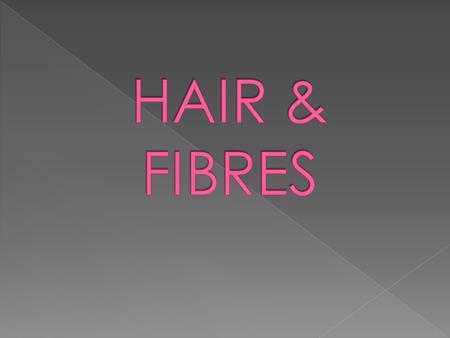 HAIR & FIBRES.