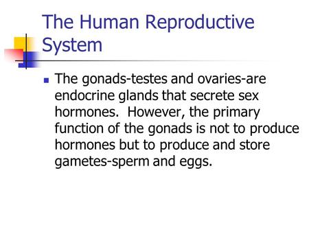 The Human Reproductive System The gonads-testes and ovaries-are endocrine glands that secrete sex hormones. However, the primary function of the gonads.