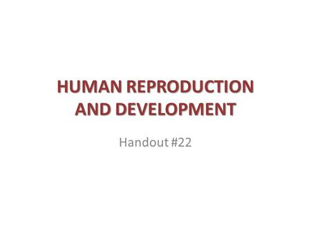 HUMAN REPRODUCTION AND DEVELOPMENT Handout #22. The Male Reproductive System- Sperm production occurs in the ______ that is enclosed by the scrotum. This.