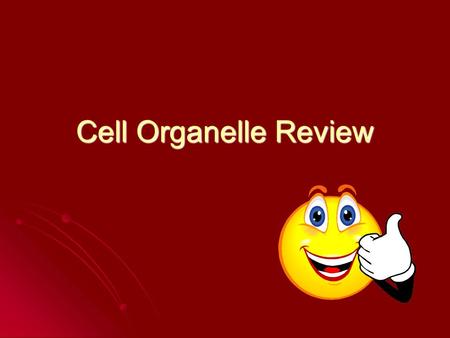 Cell Organelle Review. This organelle converts sunlight energy into chemical energy (in photosynthesis) This organelle converts sunlight energy into chemical.