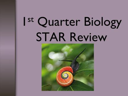 1 st Quarter Biology STAR Review. Scientific Method 1.Observation is made using one of your 5 senses. 2.A hypothesis is a proposed explanation for the.