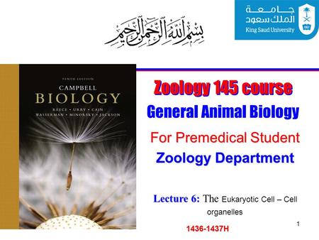 1 Zoology 145 course General Animal Biology For Premedical Student 1436-1437H Zoology Department Lecture 6: Lecture 6: The Eukaryotic Cell – Cell organelles.