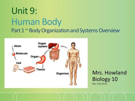 Unit 9: Human Body Part 1 ~ Body Organization and Systems Overview Mrs. Howland Biology 10 Rev. Feb 2016.