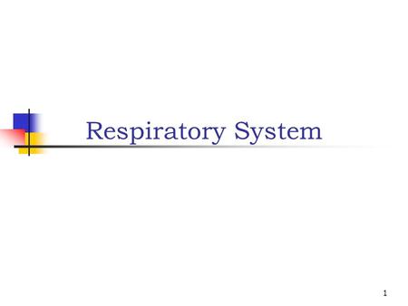 1 Respiratory System. 2 Main functions: Provide oxygen to cells Eliminate carbon dioxide Works closely with cardiovascular system to accomplish gas exchange.
