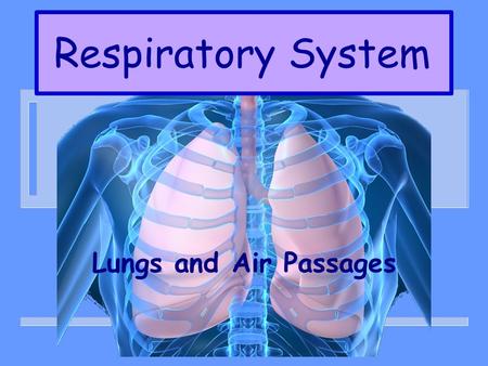Respiratory System Lungs and Air Passages. WHY ARE THEY NEEDED? n TAKE IN OXYGEN – GAS NEEDED BY ALL BODY CELLS n REMOVING CARBON DIOXIDE – GAS THAT IS.