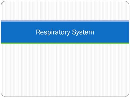 Respiratory System. Functions of the Respiratory System involved in the exchange of oxygen and carbon dioxide gases between the blood and the external.