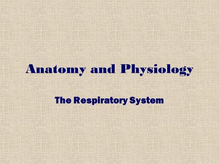 Anatomy and Physiology The Respiratory System. BREATHING https://www.youtube.com/watch?v=zRv5t NCMpyYhttps://www.youtube.com/watch?v=zRv5t NCMpyY.