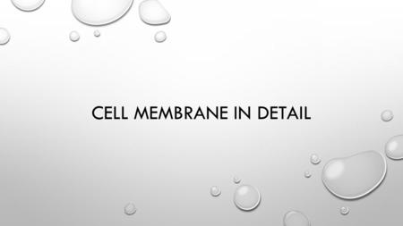 CELL MEMBRANE IN DETAIL. THE CELL MEMBRANE IS NOT A SOLID STRUCTURE. IT IS MADE OF MILLIONS OF SMALLER MOLECULES THAT CREATE A FLEXIBLE AND POROUS CONTAINER.