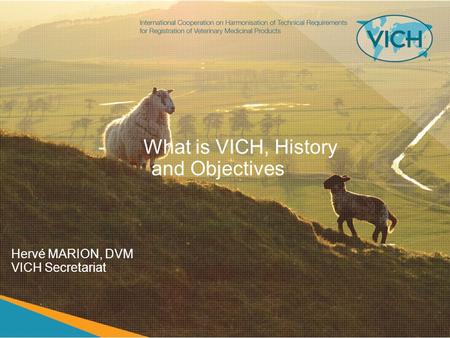 -What is VICH, History and Objectives Hervé MARION, DVM VICH Secretariat.