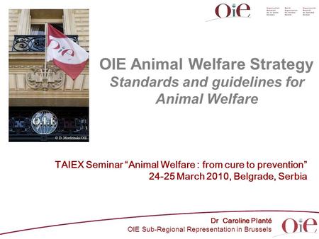 OIE Animal Welfare Strategy Standards and guidelines for Animal Welfare Dr Caroline Planté OIE Sub-Regional Representation in Brussels TAIEX Seminar “Animal.