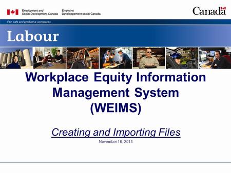 Workplace Equity Information Management System (WEIMS) Creating and Importing Files November 18, 2014.