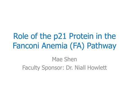 Role of the p21 Protein in the Fanconi Anemia (FA) Pathway