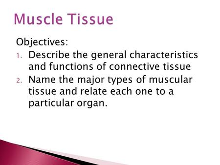 Objectives: 1. Describe the general characteristics and functions of connective tissue 2. Name the major types of muscular tissue and relate each one to.