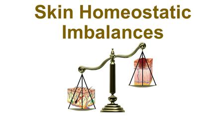 Skin Homeostatic Imbalances. Slide 4.23 Copyright © 2003 Pearson Education, Inc. publishing as Benjamin Cummings  Infections  Athletes foot  Caused.