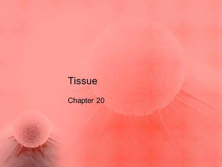 Tissue Chapter 20. What you need to know! The hierarchy of animal structure The four types of tissue and their general function.