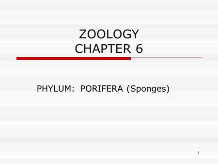 1 ZOOLOGY CHAPTER 6 PHYLUM:PORIFERA (Sponges). 2 Advent of Multicellularity  a.They have a cellular level of organization.  b. Sponges are organized.