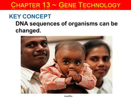 KEY CONCEPT DNA sequences of organisms can be changed.