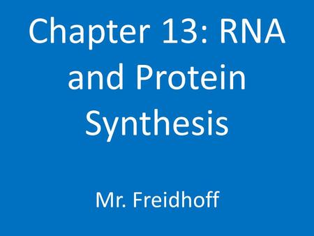 Chapter 13: RNA and Protein Synthesis Mr. Freidhoff.