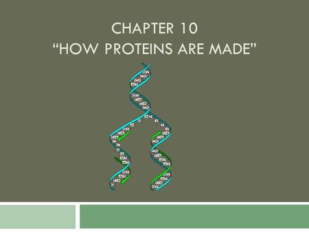 CHAPTER 10 “HOW PROTEINS ARE MADE”. Learning Targets  I will compare the structure of RNA with that of DNA.  I will summarize the process of transcription.