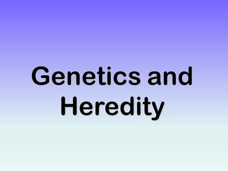 Genetics and Heredity. Gregor Mendel Austrian MonkAustrian Monk Considered “The Father of GeneticsConsidered “The Father of Genetics Experimented with.