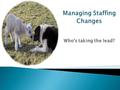 Managing Staffing Changes Who's taking the lead?.