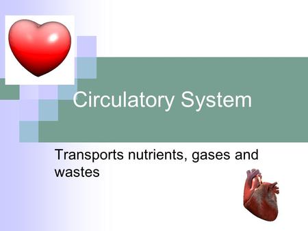 Circulatory System Transports nutrients, gases and wastes.