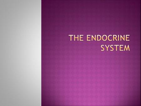  Made up of glands  Endocrine: release hormones into bloodstream travel throughout the body and relay information Exocrine glands release secretions.