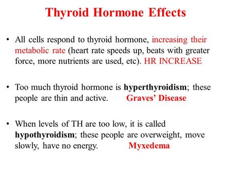 Thyroid Hormone Effects All cells respond to thyroid hormone, increasing their metabolic rate (heart rate speeds up, beats with greater force, more nutrients.