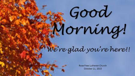 Good Morning! Rose Free Lutheran Church October 11, 2015 We’re glad you’re here!!