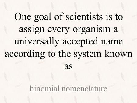 One reason ______________ are not useful to biologists is that they can apply to more than one animal. common names.