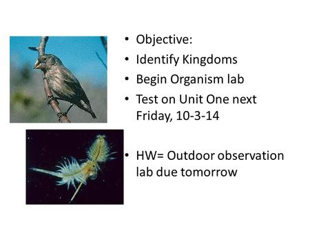 Objective: Identify Kingdoms Begin Organism lab Test on Unit One next Friday, 10-3-14 HW= Outdoor observation lab due tomorrow.