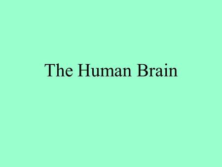The Human Brain. Basic Brain Structure Composed of 100 billion cells Makes up 2% of bodies weight Contains 15% of bodies blood supply Uses 20% of bodies.