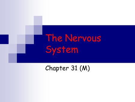 The Nervous System Chapter 31 (M). Functions of the Nervous System The nervous system collects information about the body’s internal and external environment,