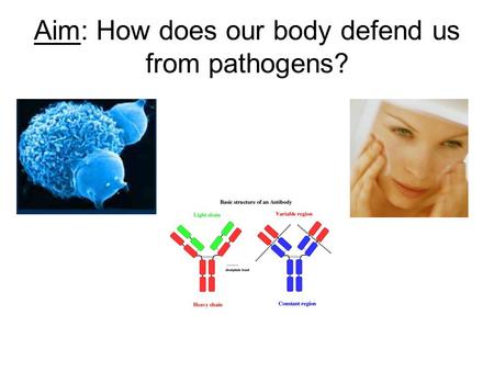 Aim: How does our body defend us from pathogens?.