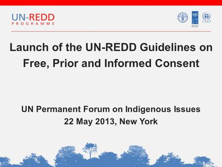 Launch of the UN-REDD Guidelines on Free, Prior and Informed Consent UN Permanent Forum on Indigenous Issues 22 May 2013, New York.