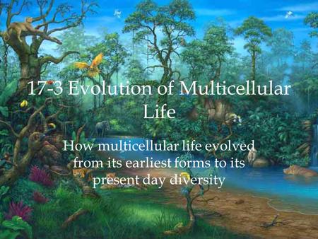 17-3 Evolution of Multicellular Life How multicellular life evolved from its earliest forms to its present day diversity.