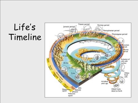 Life’s Timeline. Earth is Born aka The Precambrian Era.